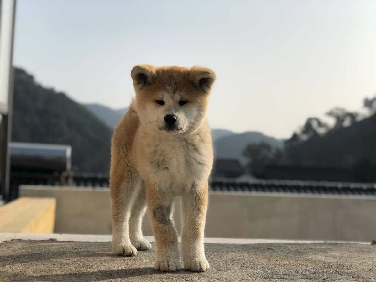 サンス ホテル ハンヂョウ 杭州 エクステリア 写真