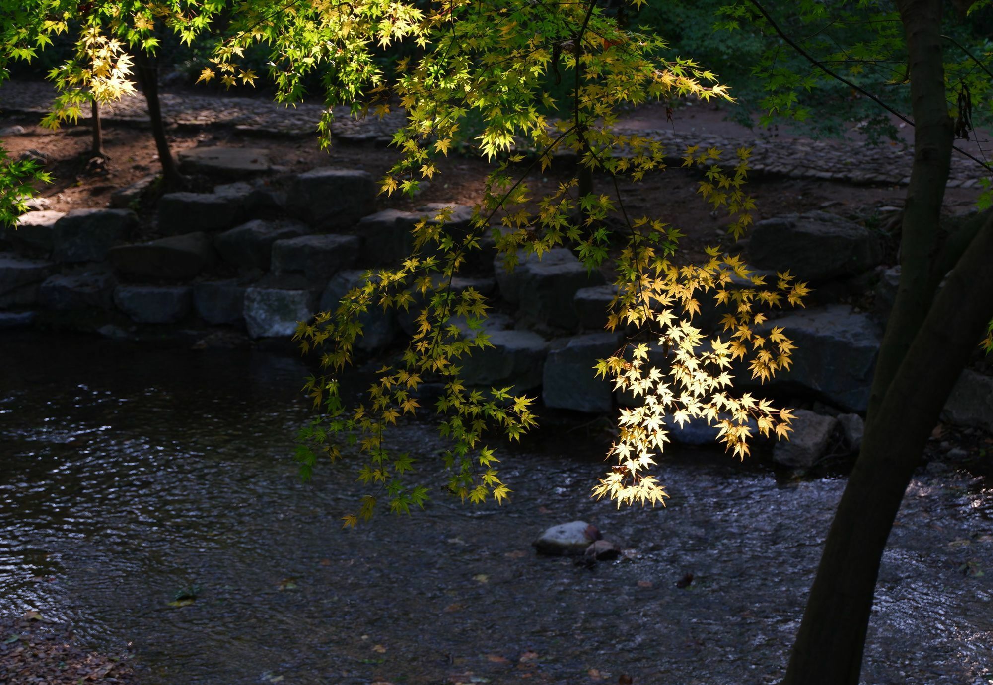 サンス ホテル ハンヂョウ 杭州 エクステリア 写真
